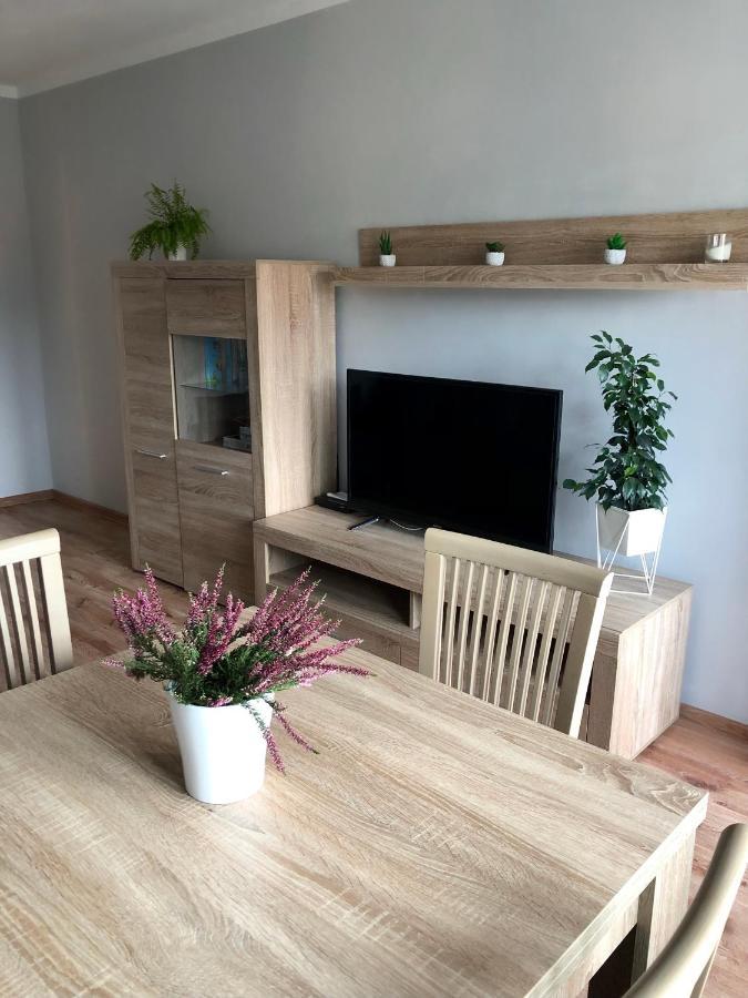 Viola Apartment Szklarska Poreba Ngoại thất bức ảnh